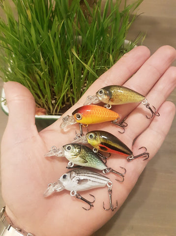 Spinallis Crankbait