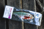 Blood Shiner