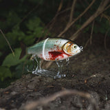Blood Shiner