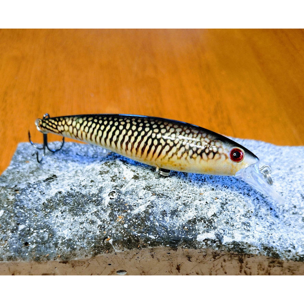 Minnow squad – Spinallis